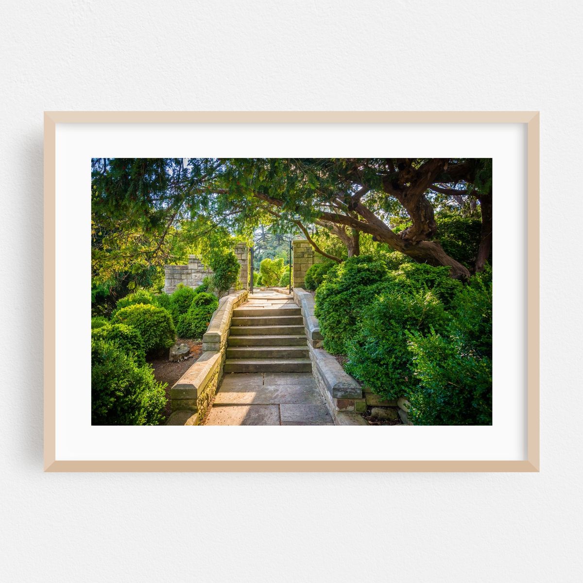 Bishop's Garden – image 1 of 6