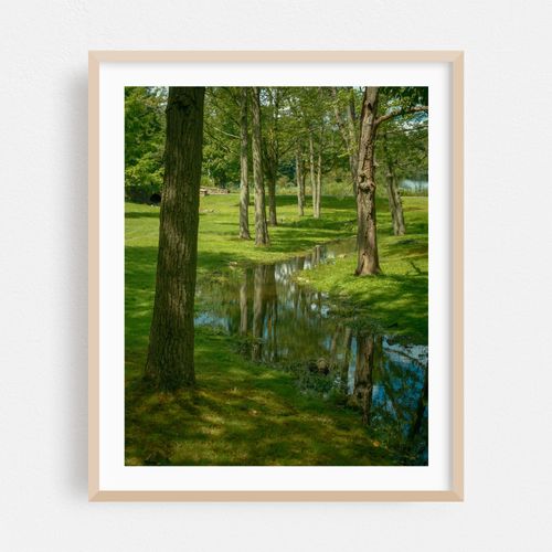 Fulton Park, Waterbury