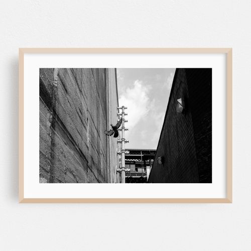 Urban Flight