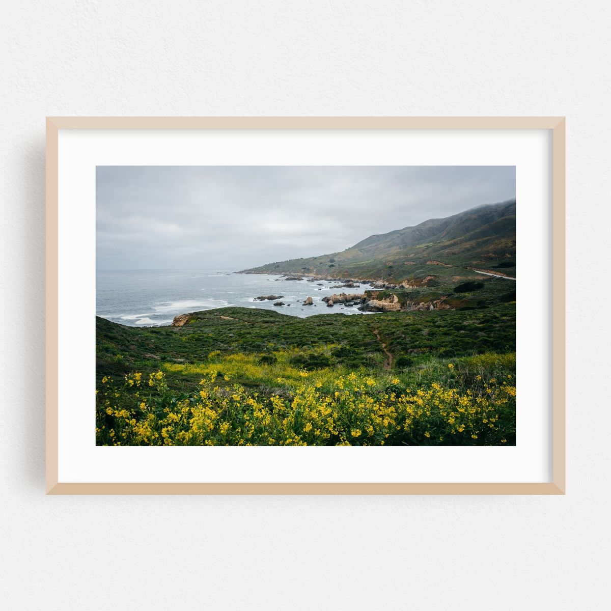 Flowers in Garrapata State Park – image 1 of 6