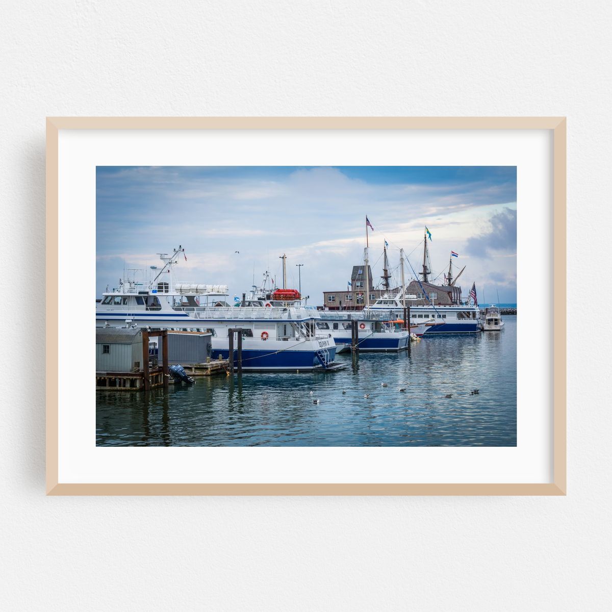Docked in Provincetown Harbor – image 1 of 6
