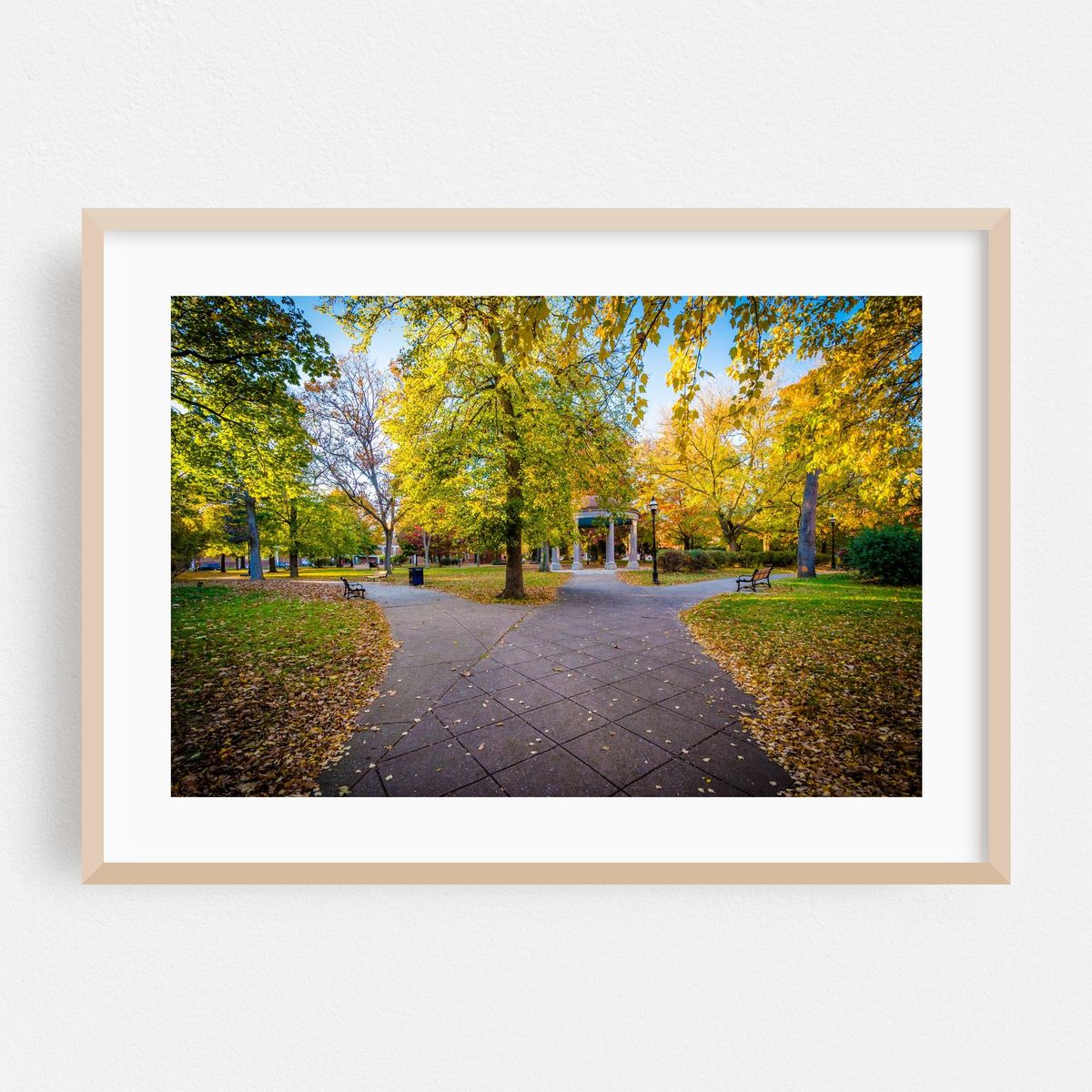 Autumn in Union Square – image 1 of 6