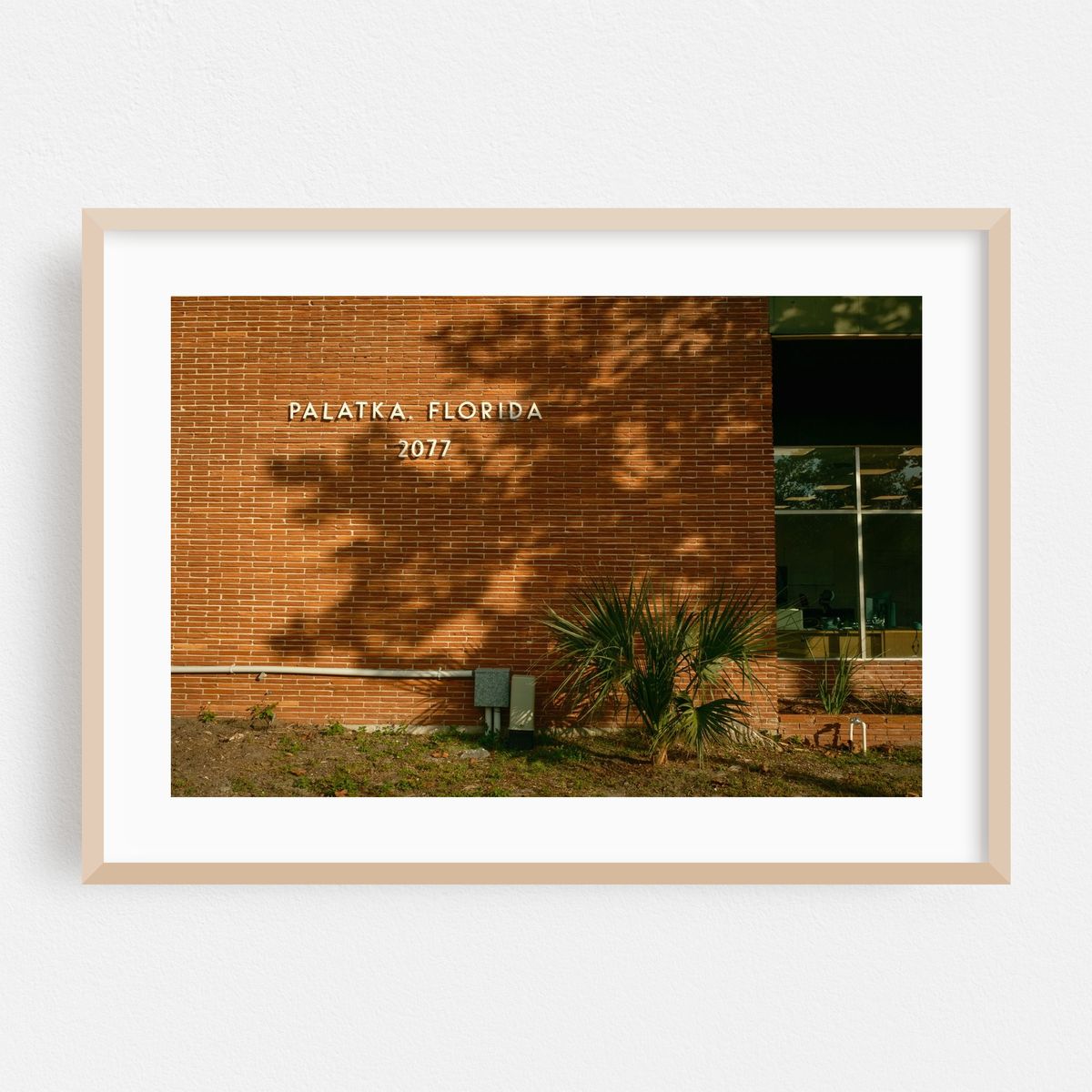 Palatka Post Office – image 1 of 6