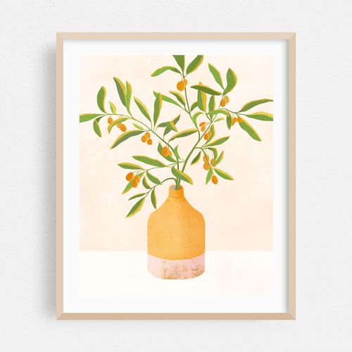 Mini Olive Tree