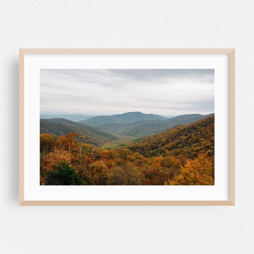 From Skyline Drive