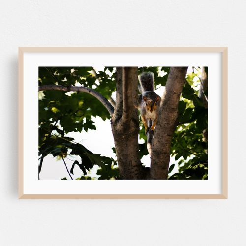 Tree Friend