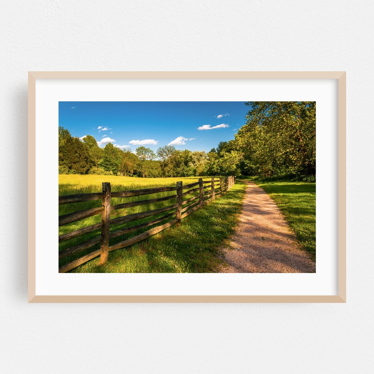 Antietam Stroll – image 1 of 6