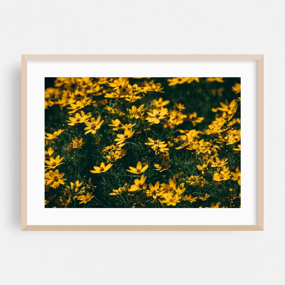 Yellow Flowers – image 1 of 6