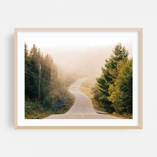 Fog in Cutler 03