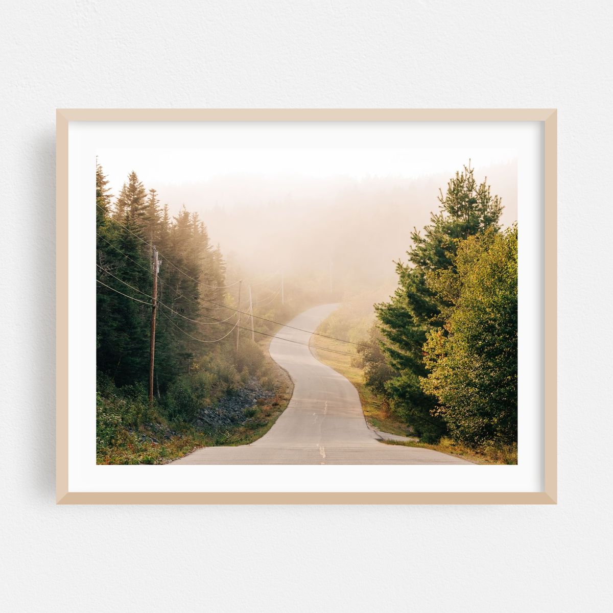 Fog in Cutler 03 – image 1 of 3