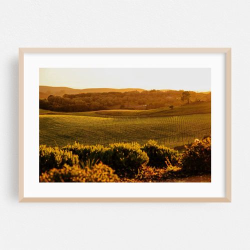 Wine Country Sunset