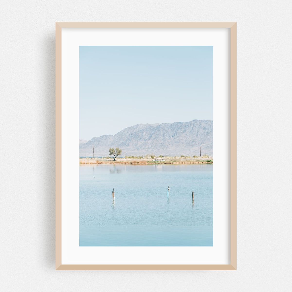 Lake Tamarisk – image 1 of 16