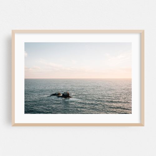Seal Rock