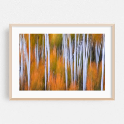Utah Autumn