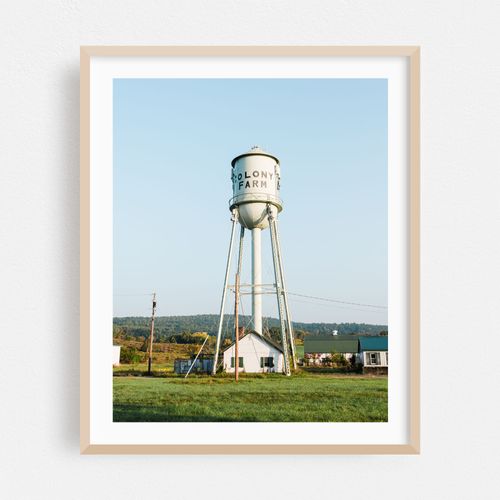 Colony Farm 02