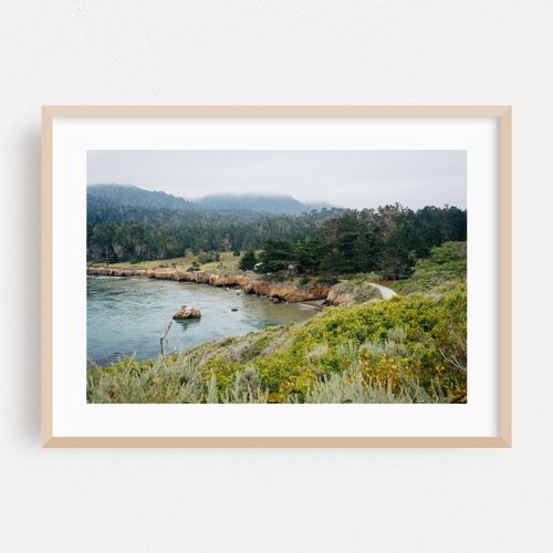 Point Lobos Coastal 04