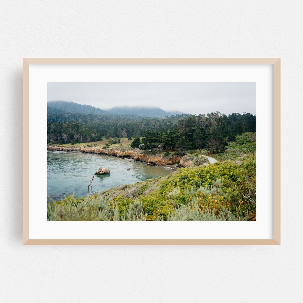 Point Lobos Coastal 04 – image 1 of 6