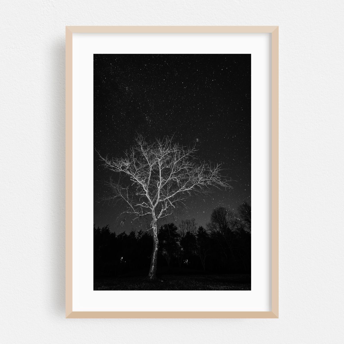 Illuminate B&W – image 1 of 16