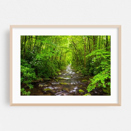 The Oconaluftee River