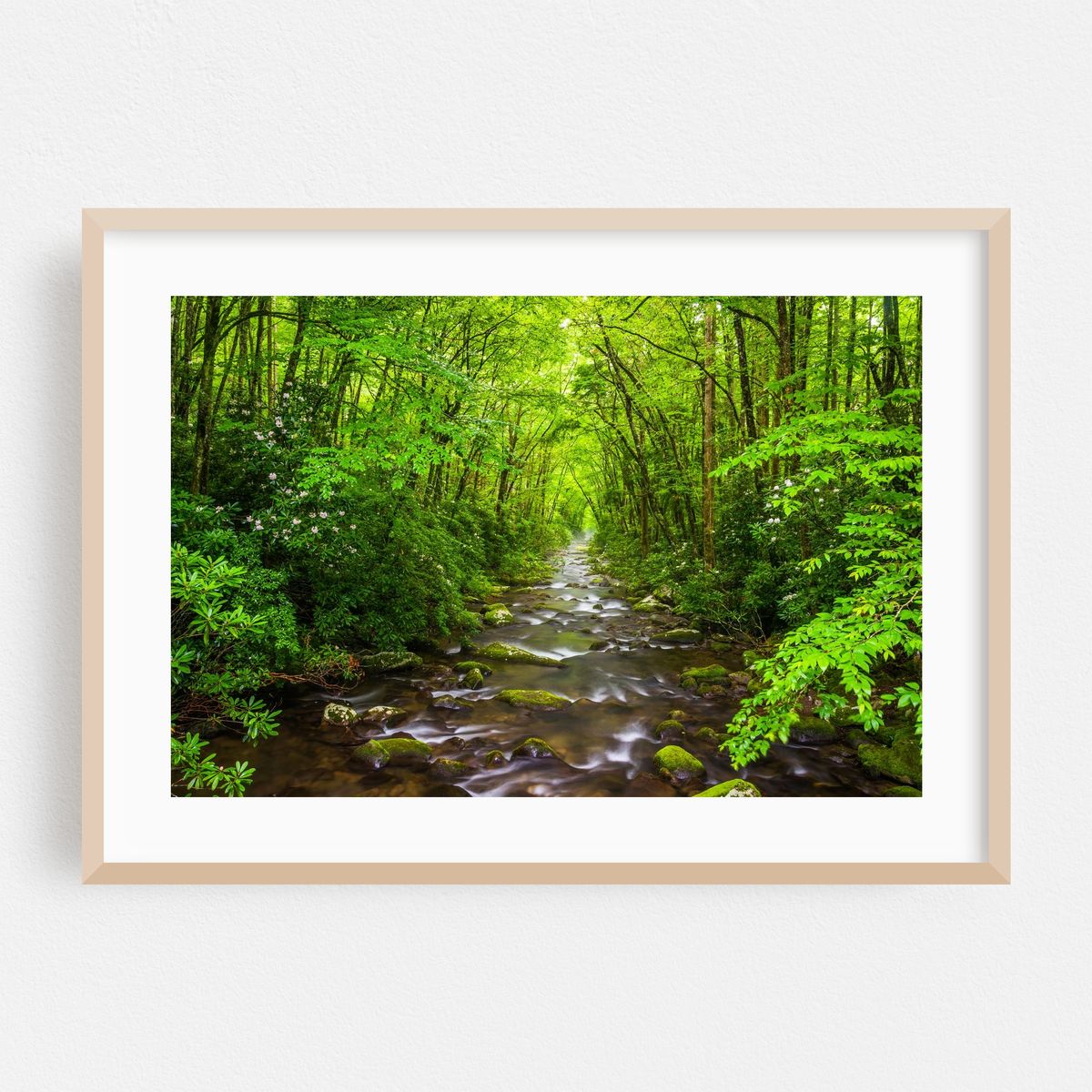 The Oconaluftee River – image 1 of 6