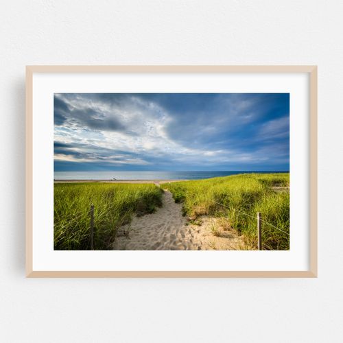 Cape Cod Dunes