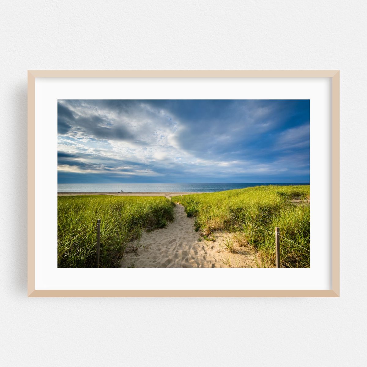 Cape Cod Dunes – image 1 of 6