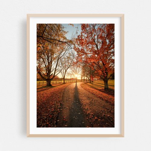 Autumn Sunset, Knox Farm 01