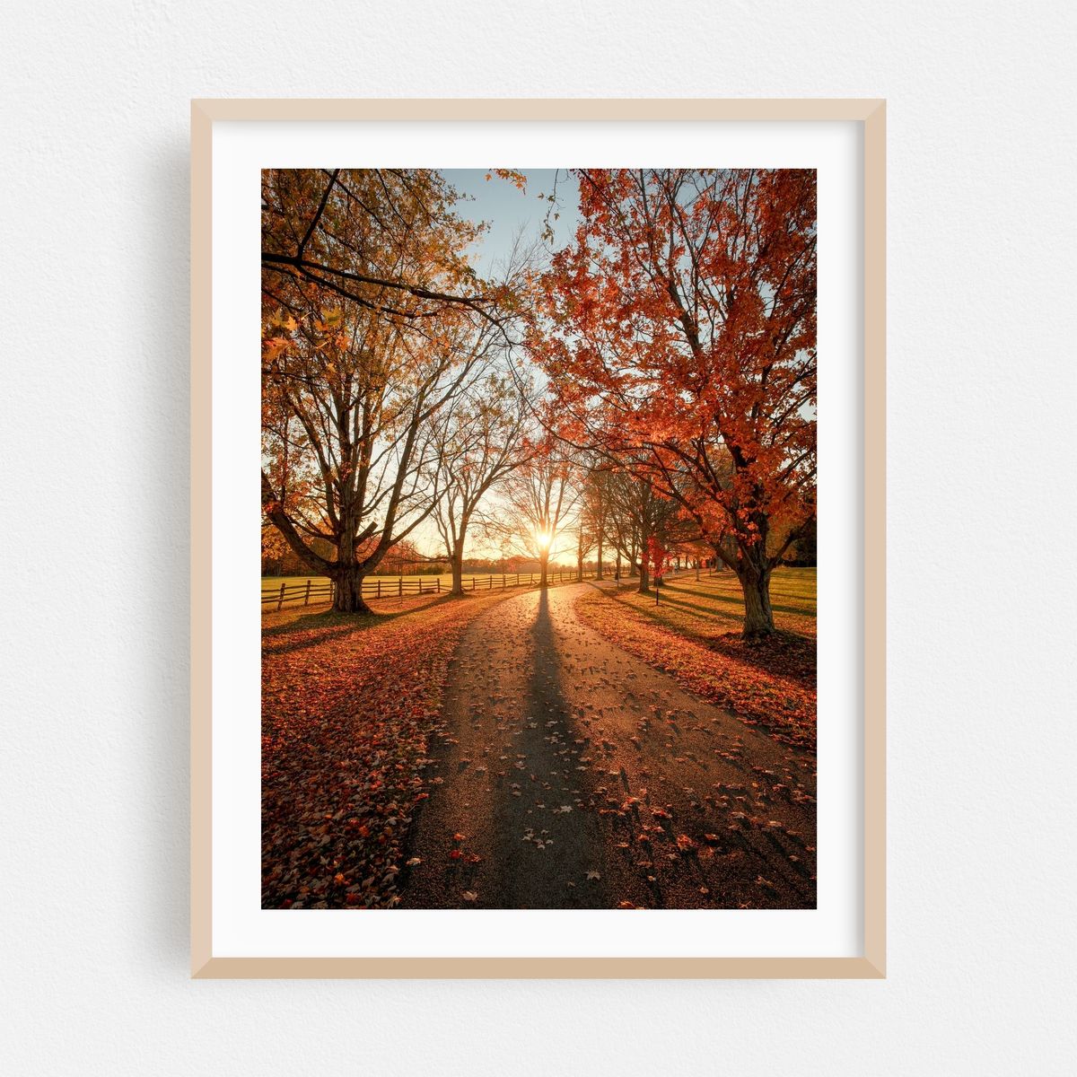 Autumn Sunset, Knox Farm 01 – image 1 of 3