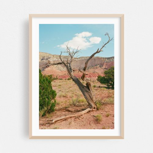 Ghost Ranch