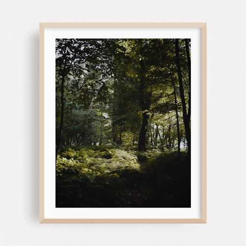 Bay Circuit Forest 02