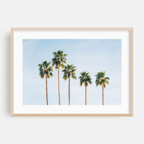 Palms, Palm Springs 01
