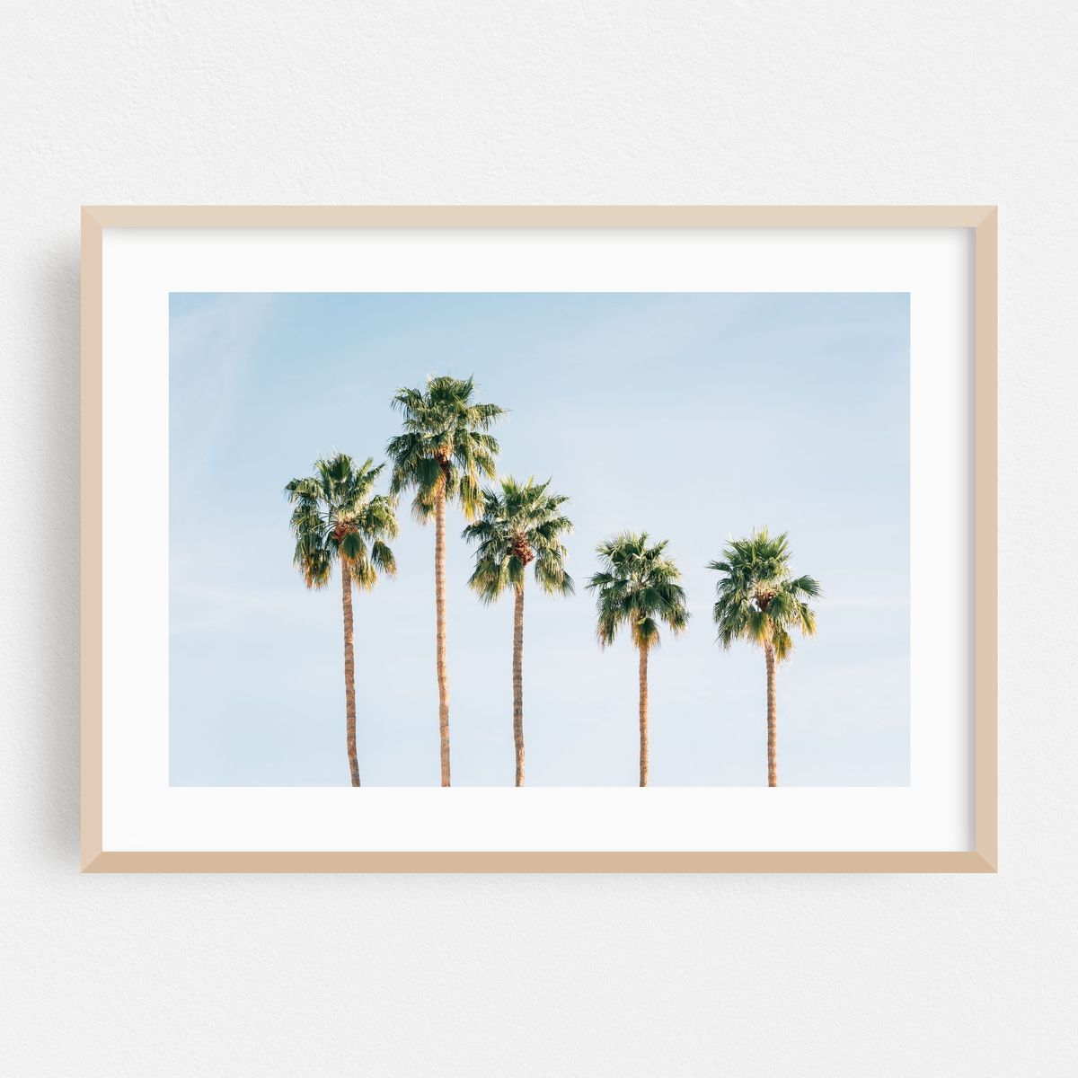 Palms, Palm Springs 01 – image 1 of 6