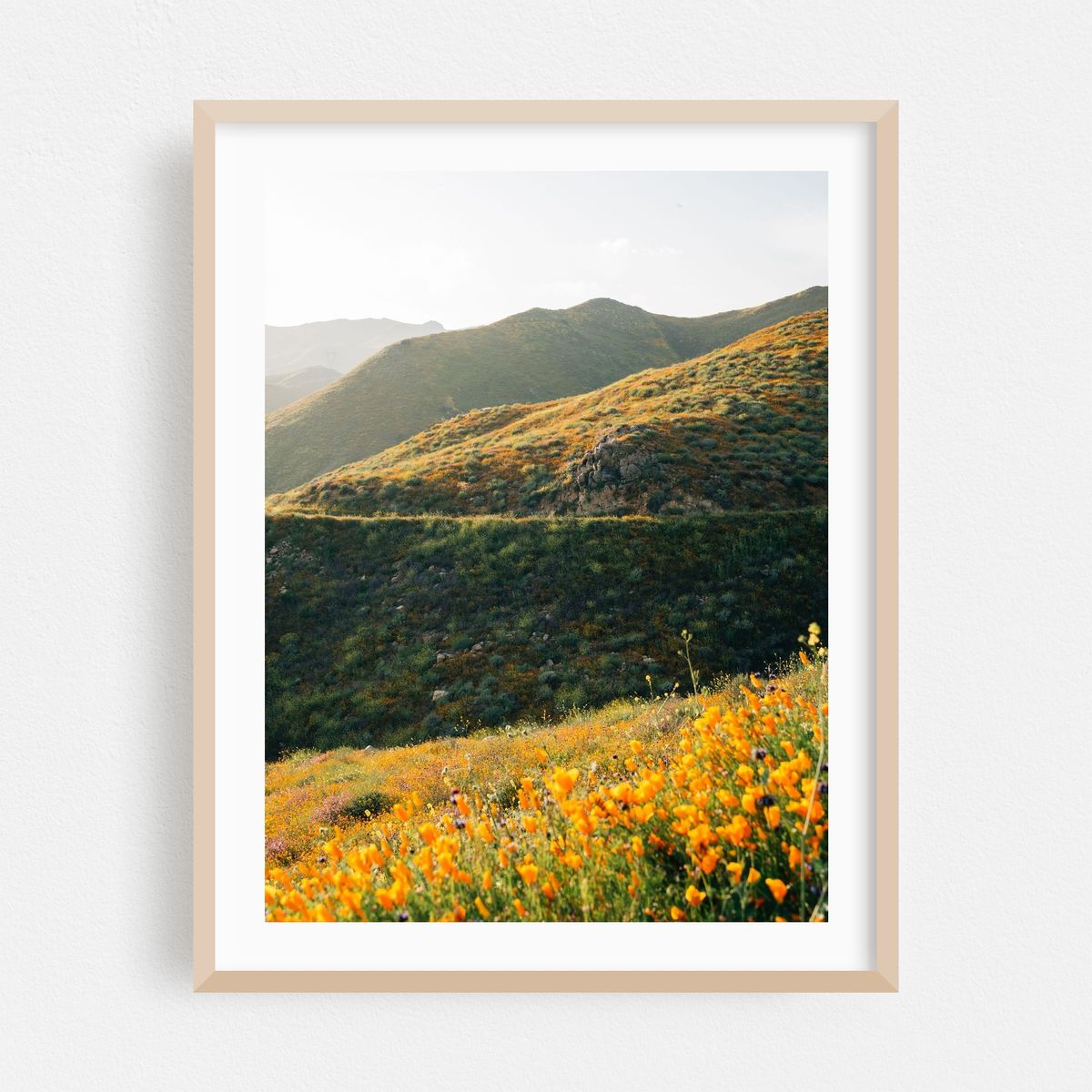 Superbloom Poppies, Lake Elsinore 07 – image 1 of 3