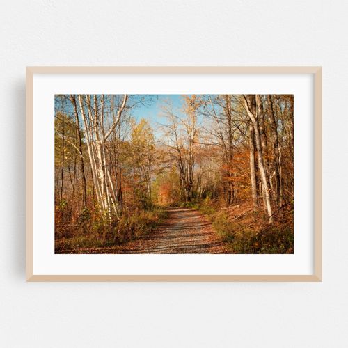 Autumn at Cannonsville Reservoir