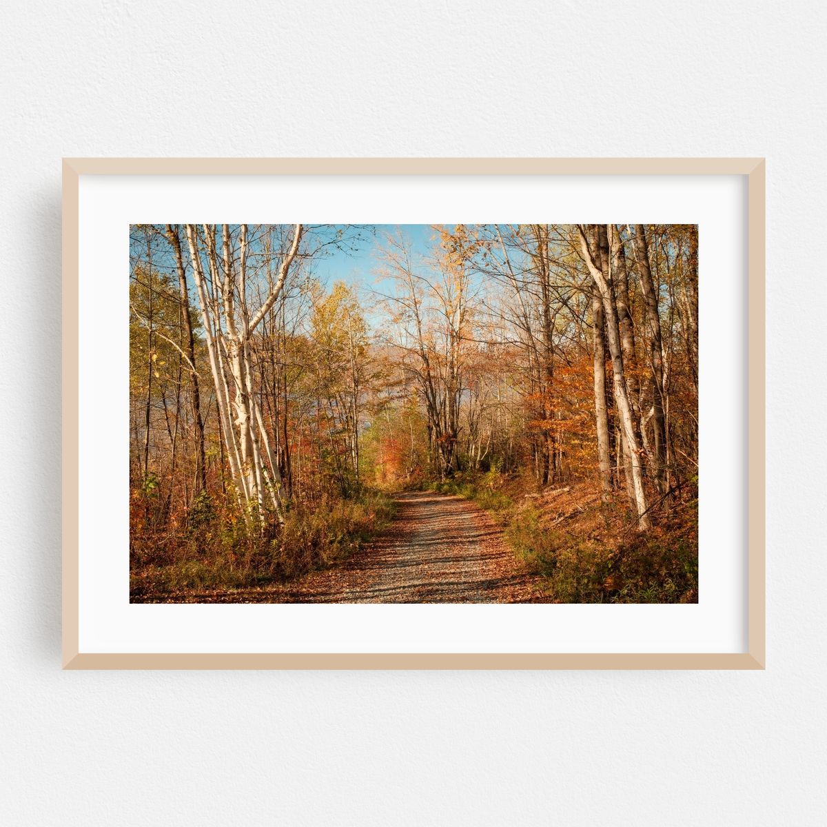 Autumn at Cannonsville Reservoir – image 1 of 6