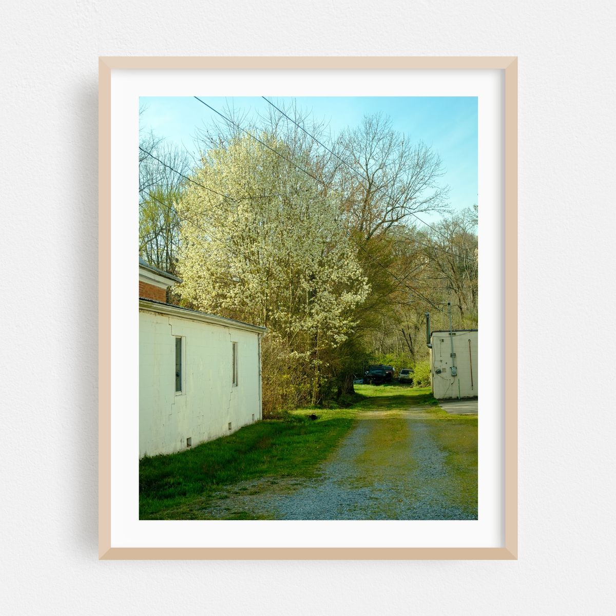 Spring in Marion – image 1 of 12