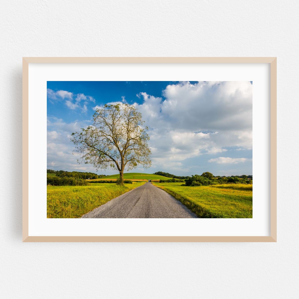 Lonely Tree, Spring Grove – image 1 of 6