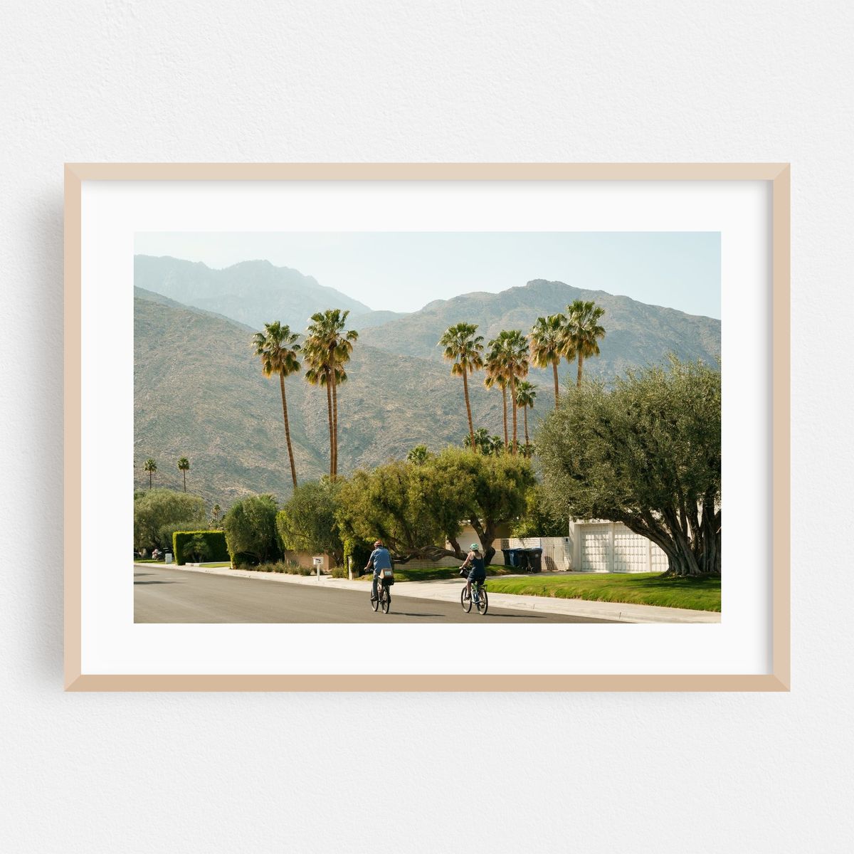 Biking in Palm Springs – image 1 of 6