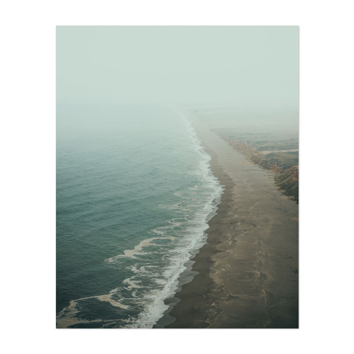 Point Reyes 03 - 2026 – image 1 of 2