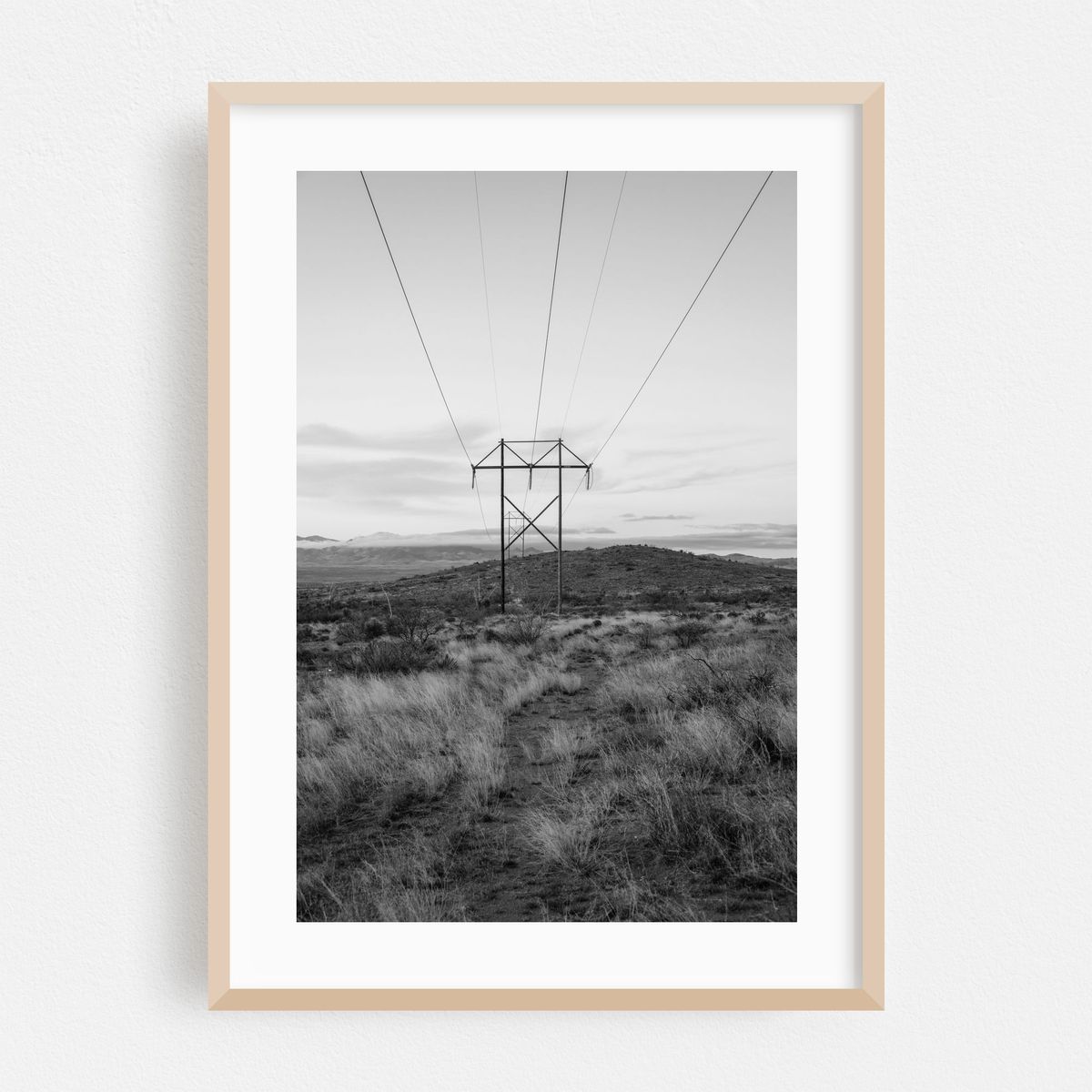 Electric B&W – image 1 of 16