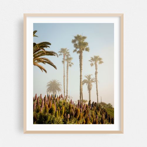 Palms at Treasure Island, Laguna Beach 02