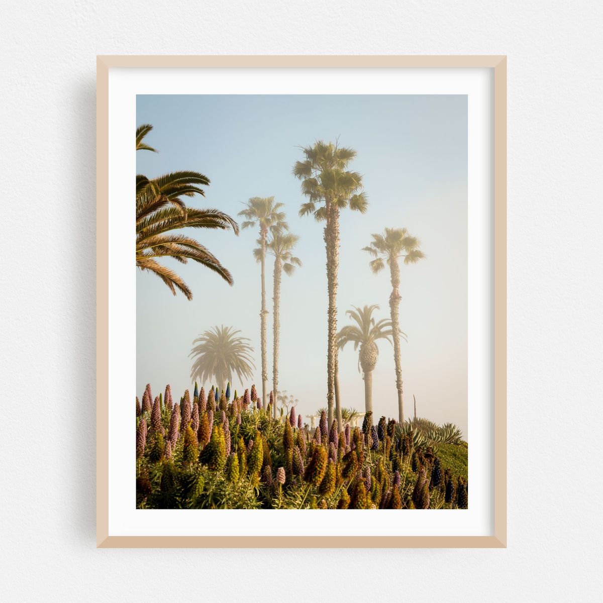 Palms at Treasure Island, Laguna Beach 02 – image 1 of 12