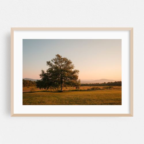 From Sentinel Rock, Westmore 02