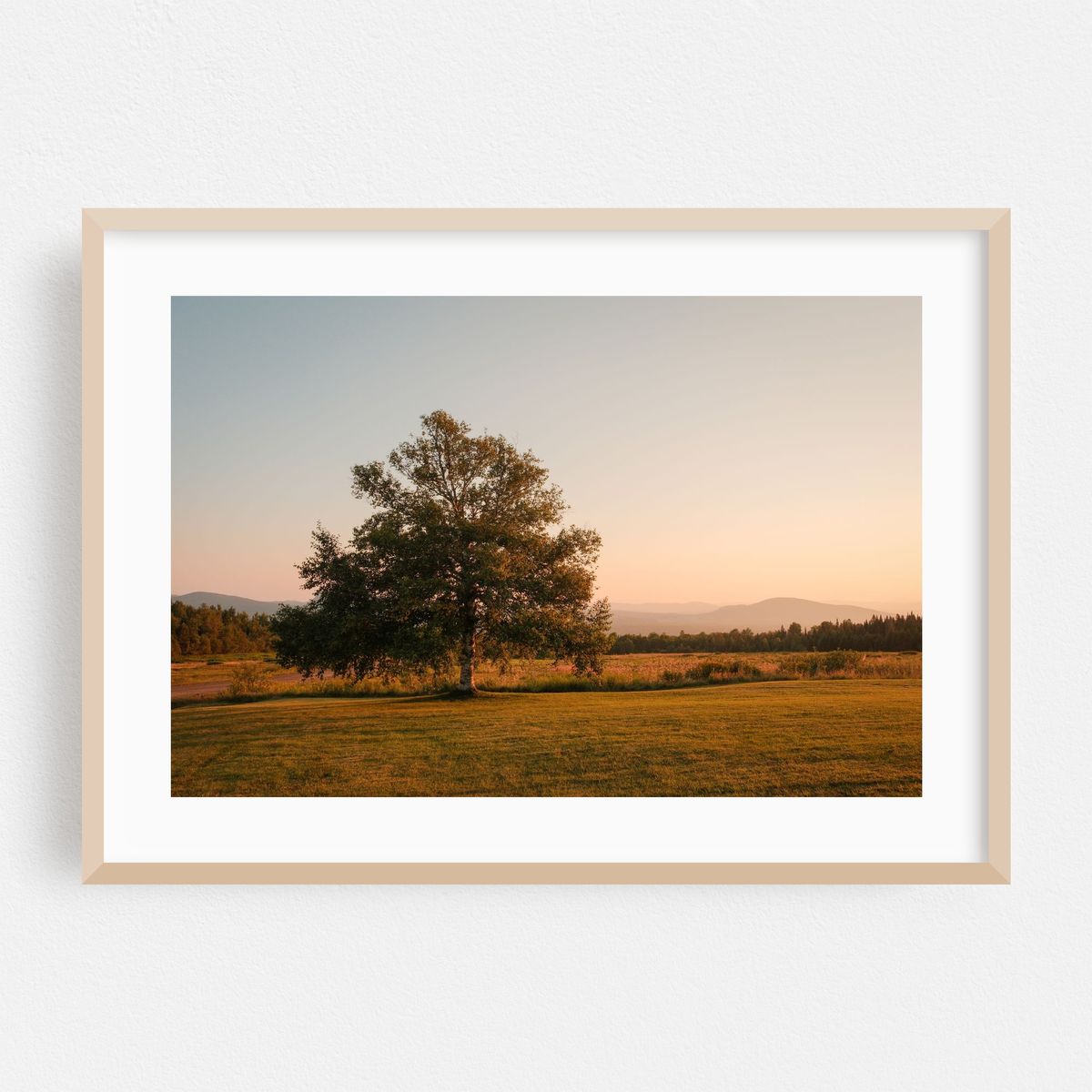 From Sentinel Rock, Westmore 02 – image 1 of 6