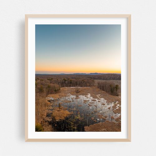 Rhinebeck Wetland 02