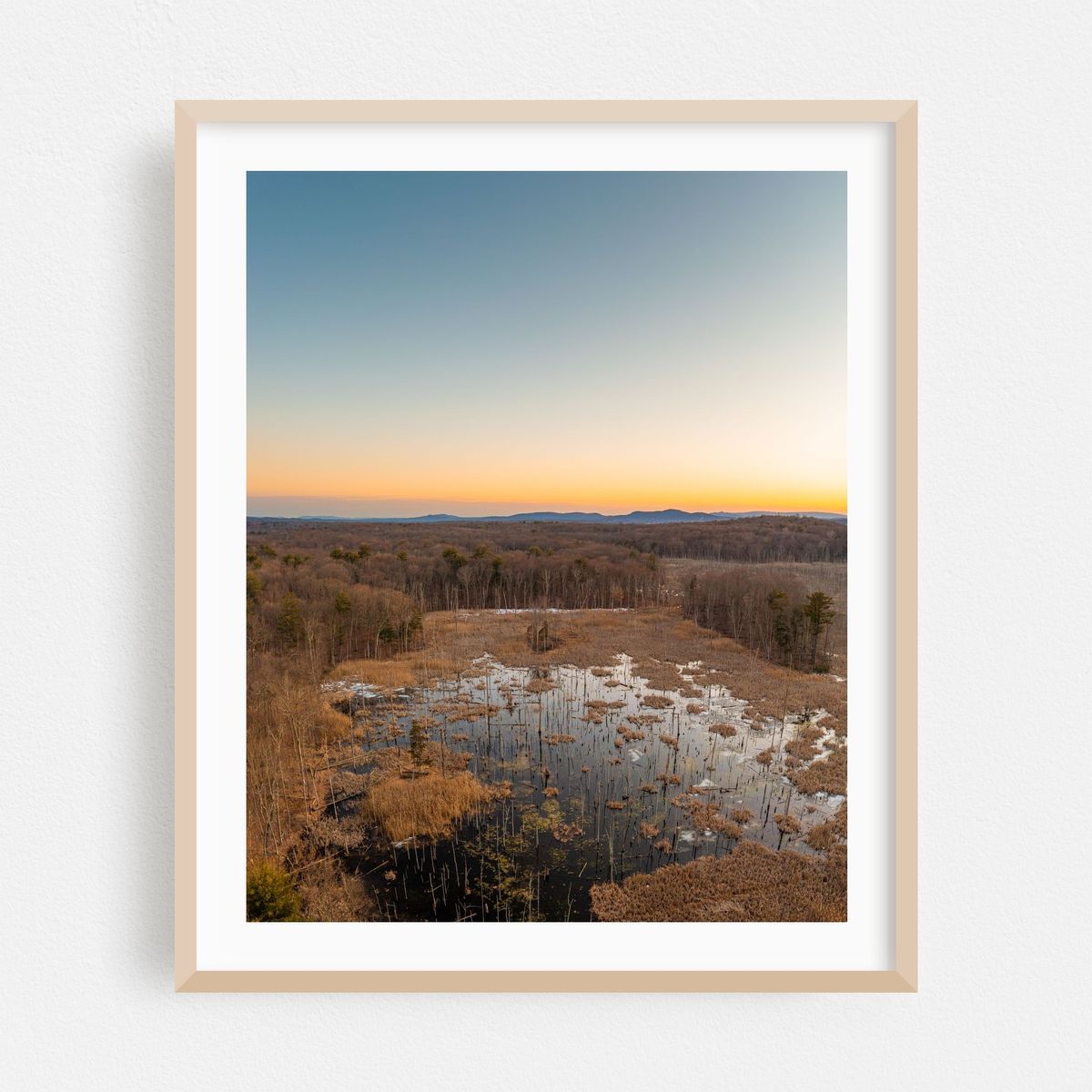Rhinebeck Wetland 02 – image 1 of 12
