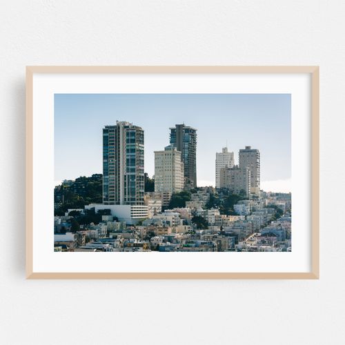 From Pioneer Park, San Francisco 03