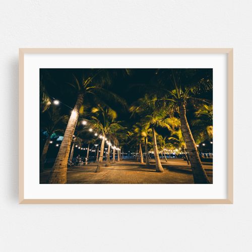 Palms in Pasay