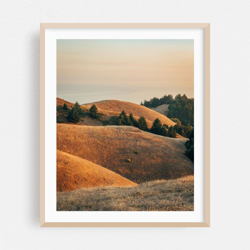 Tamalpais Evening View 04