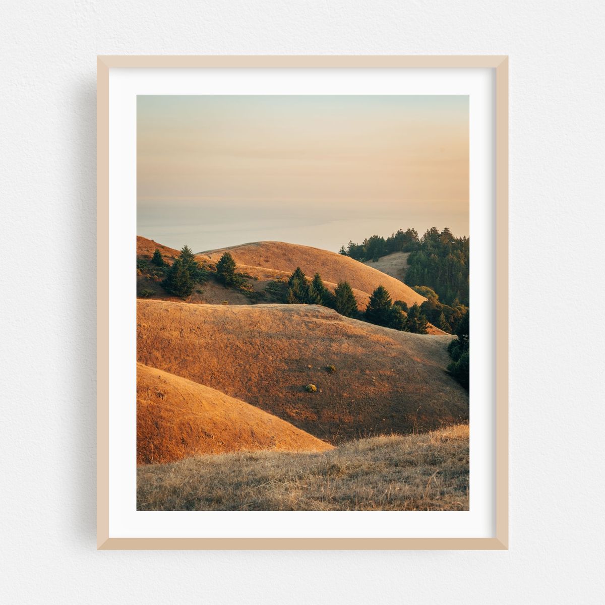 Tamalpais Evening View 04 – image 1 of 12